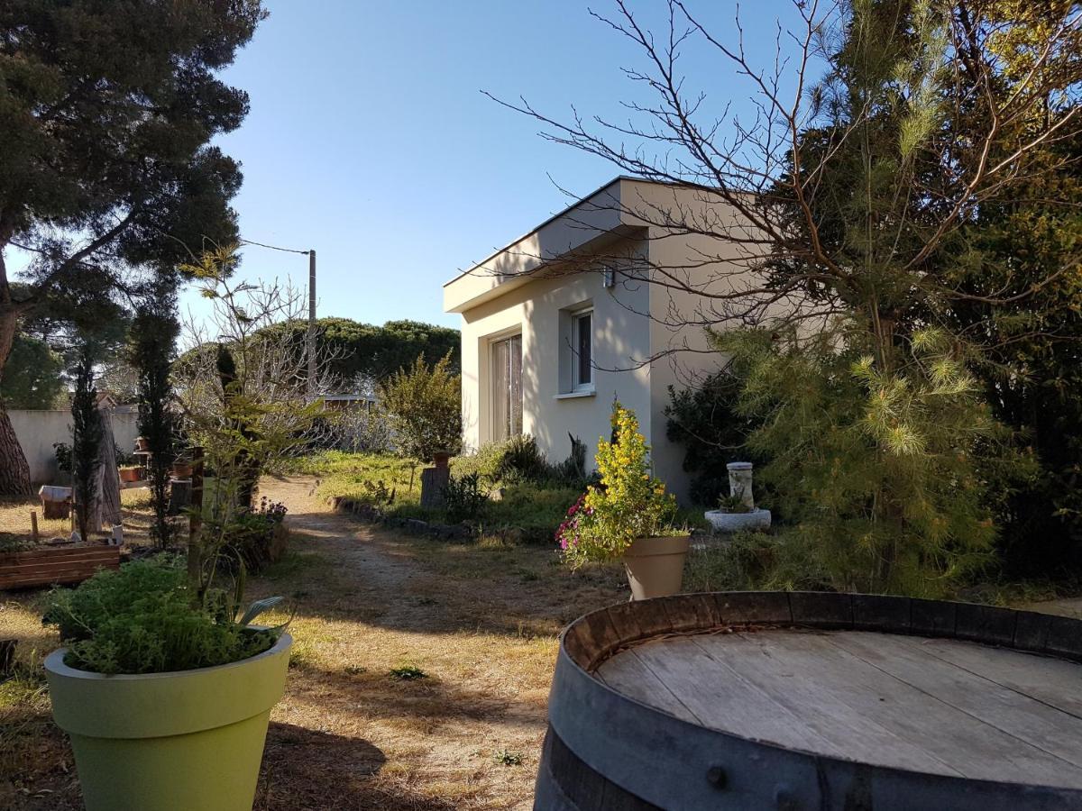 Villa Sunagde, Climatisee, Proche Plage Et Commerces Le Grau-dʼAgde Exteriör bild